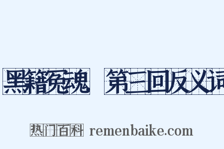 黑籍冤魂．第三回反义词是什么意思的图片